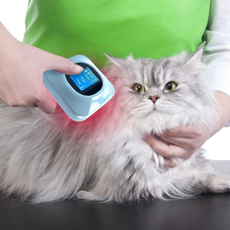 Red Light Therapy Lastek 36 Diodes Pet Acupuncture Cat Cold Laser Dildo Physiotherapy Laser Medical Device