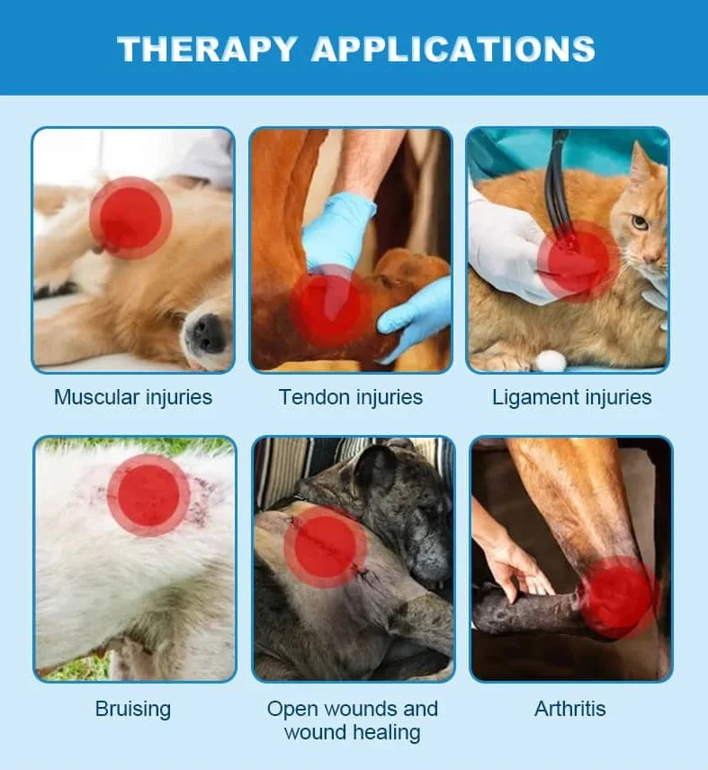 Red Light Therapy Lastek 36 Diodes Pet Acupuncture Cat Cold Laser Dildo Physiotherapy Laser Medical Device