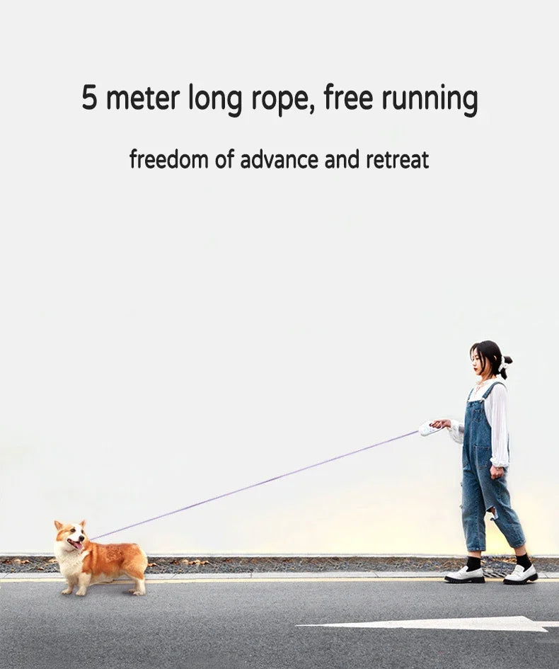 Zen Pet LED Retractable Leash with Light – 3m & 5m 🌟🐾