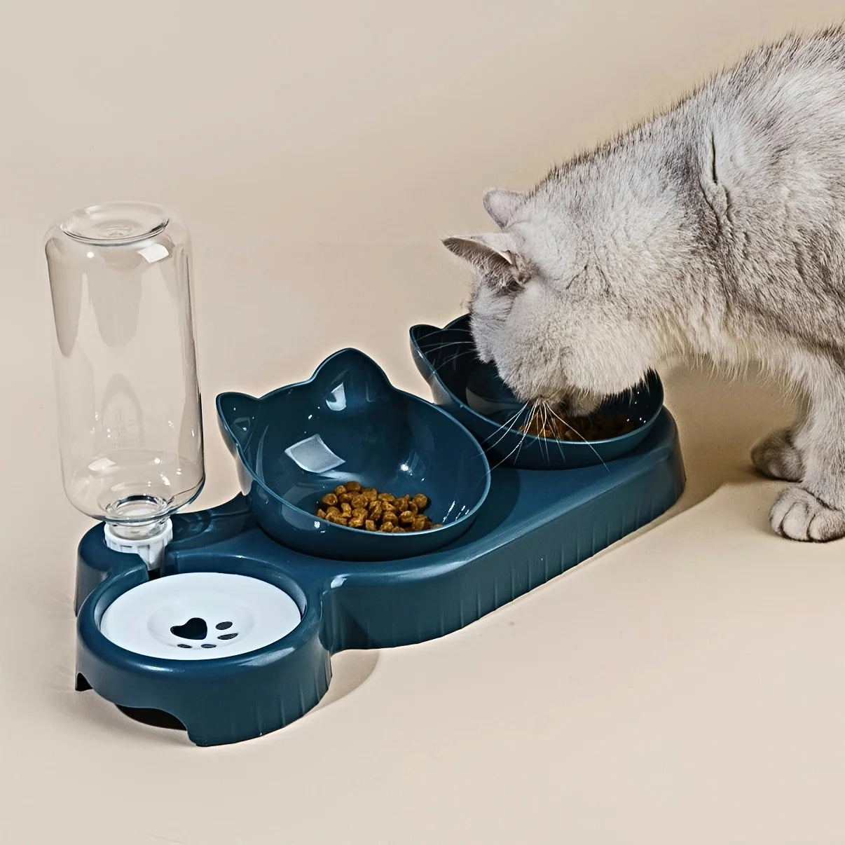 Zen Pet 3-in-1 Tilted Cat Bowl & Water Feeder Set 🐾💧