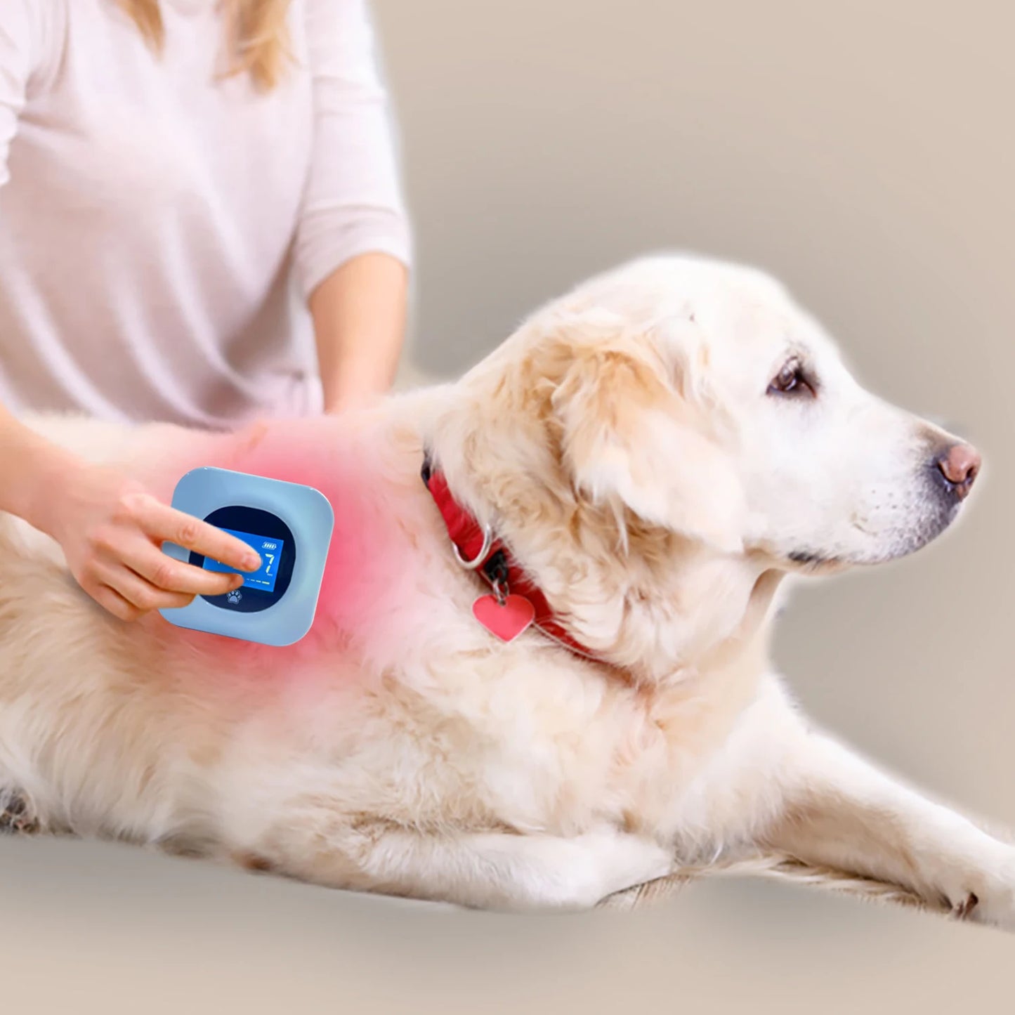 Red Light Therapy Lastek 36 Diodes Pet Acupuncture Cat Cold Laser Dildo Physiotherapy Laser Medical Device